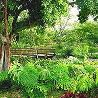 The lower end of the Jungle River before it ends in the Everglades exhibit. Photo taken June 2004.