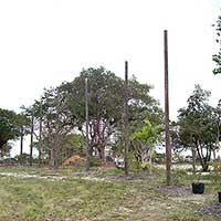 Bougainvillea arbor above Flamingo Lake