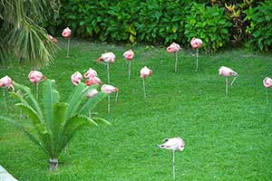 Environmental lawn