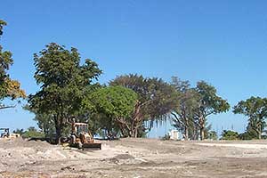 Building a new jungle, contouring